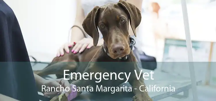 Emergency Vet Rancho Santa Margarita - California
