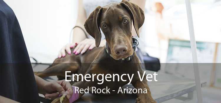 Emergency Vet Red Rock - Arizona