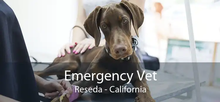 Emergency Vet Reseda - California