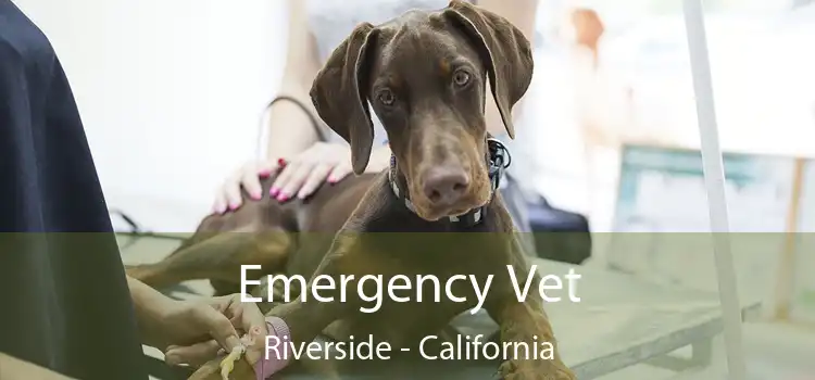 Emergency Vet Riverside - California