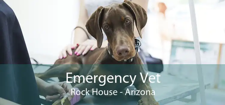 Emergency Vet Rock House - Arizona