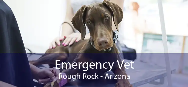 Emergency Vet Rough Rock - Arizona