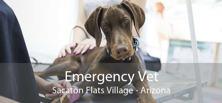 Emergency Vet Sacaton Flats Village - Arizona