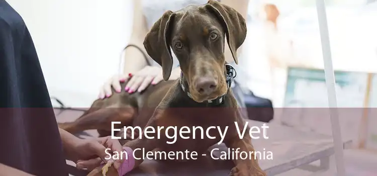 Emergency Vet San Clemente - California