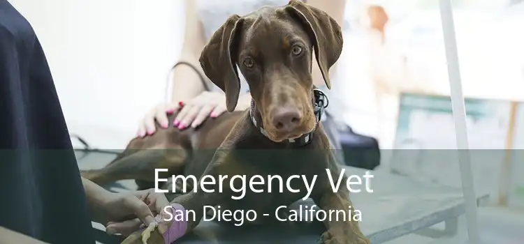 Emergency Vet San Diego - California