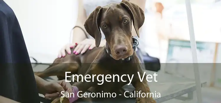 Emergency Vet San Geronimo - California