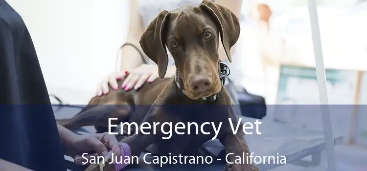 Emergency Vet San Juan Capistrano - California