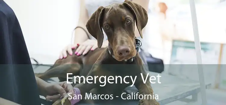 Emergency Vet San Marcos - California