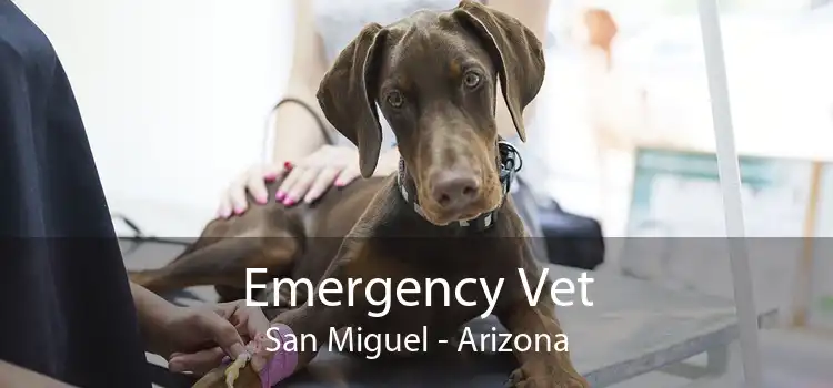 Emergency Vet San Miguel - Arizona