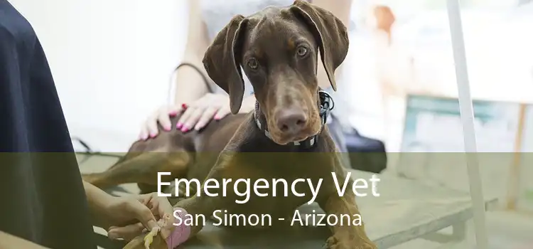 Emergency Vet San Simon - Arizona