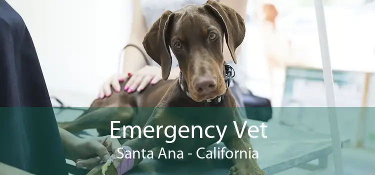 Emergency Vet Santa Ana - California