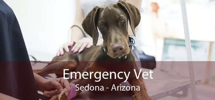 Emergency Vet Sedona - Arizona
