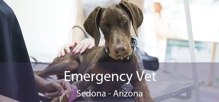 Emergency Vet Sedona - Arizona