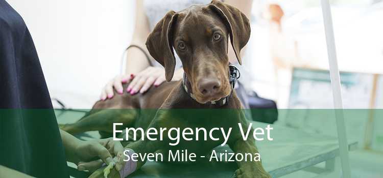 Emergency Vet Seven Mile - Arizona
