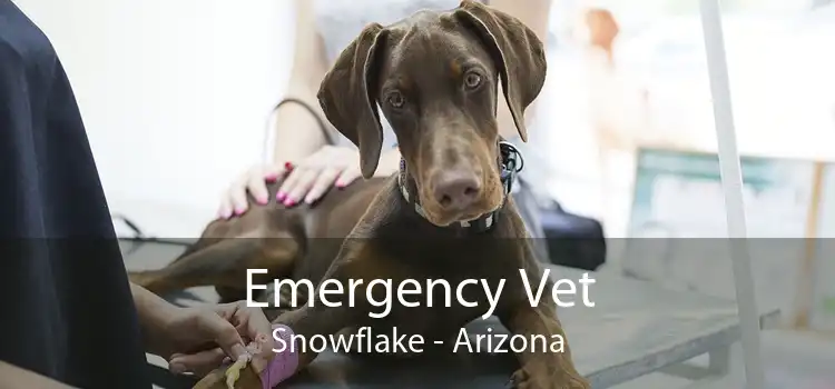 Emergency Vet Snowflake - Arizona
