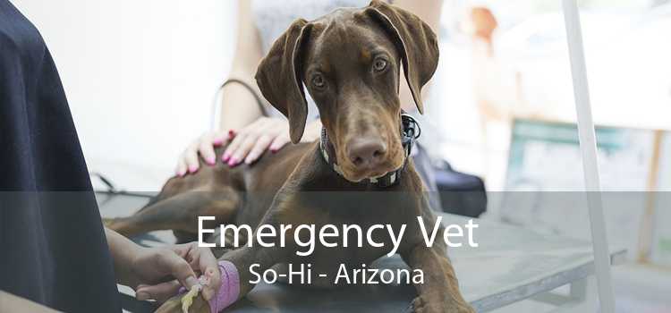 Emergency Vet So-Hi - Arizona