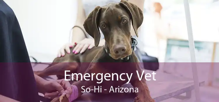Emergency Vet So-Hi - Arizona