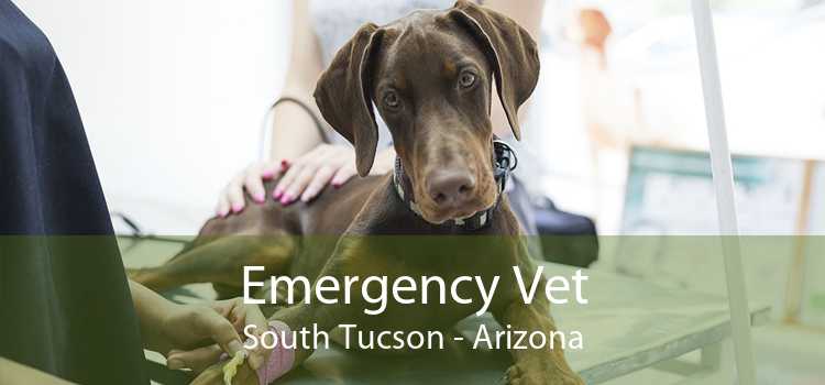Emergency Vet South Tucson - Arizona