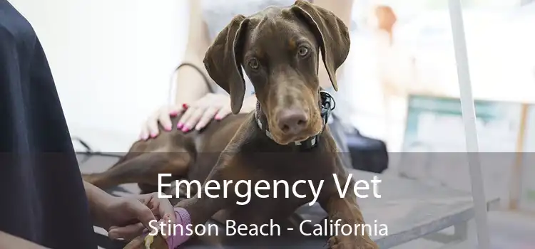 Emergency Vet Stinson Beach - California