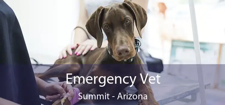 Emergency Vet Summit - Arizona