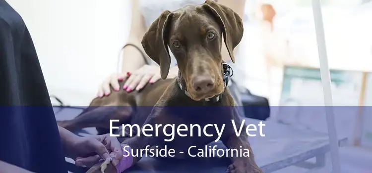 Emergency Vet Surfside - California