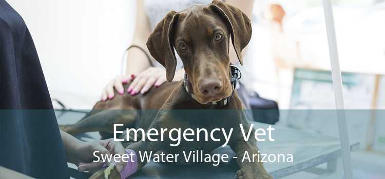 Emergency Vet Sweet Water Village - Arizona