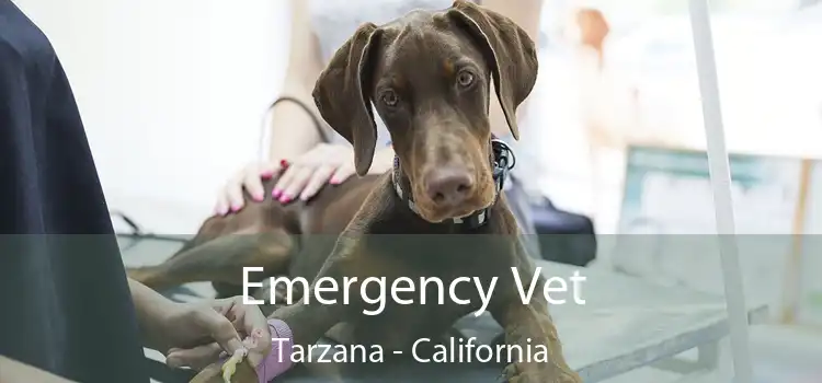 Emergency Vet Tarzana - California