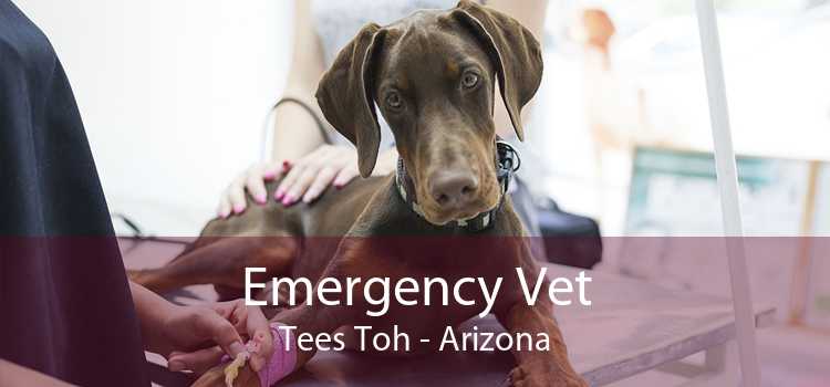 Emergency Vet Tees Toh - Arizona