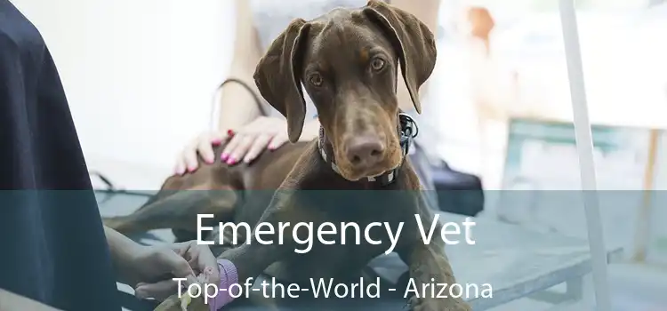 Emergency Vet Top-of-the-World - Arizona