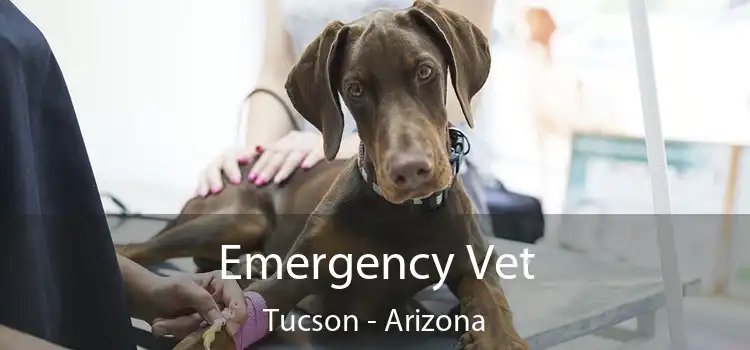 Emergency Vet Tucson - Arizona