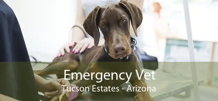 Emergency Vet Tucson Estates - Arizona