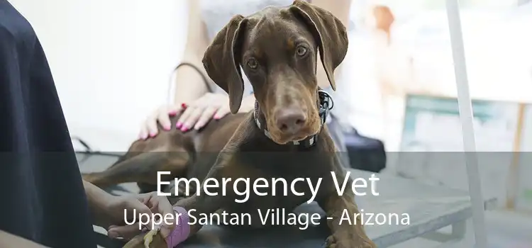Emergency Vet Upper Santan Village - Arizona