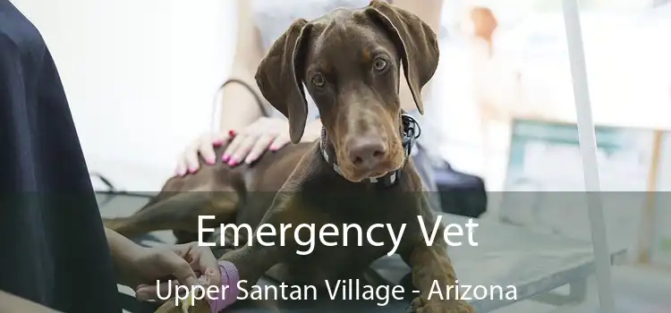 Emergency Vet Upper Santan Village - Arizona