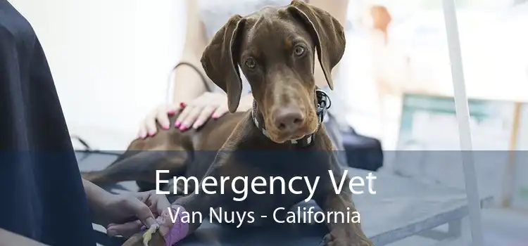 Emergency Vet Van Nuys - California