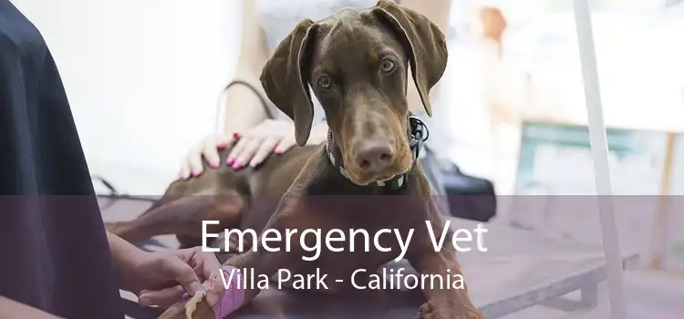 Emergency Vet Villa Park - California