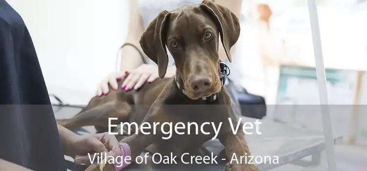 Emergency Vet Village of Oak Creek - Arizona