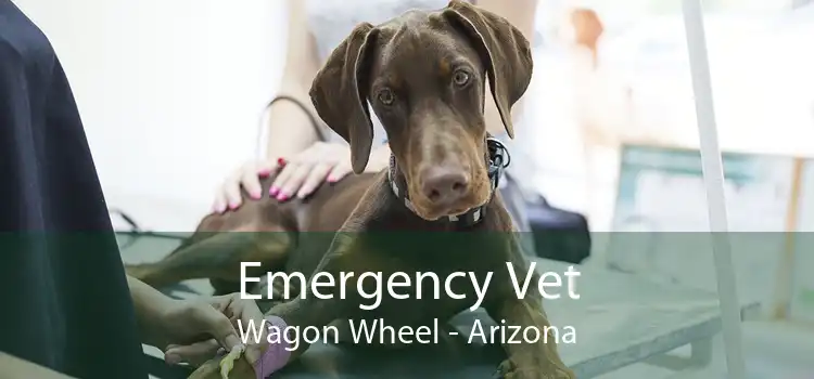 Emergency Vet Wagon Wheel - Arizona
