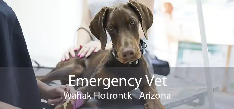 Emergency Vet Wahak Hotrontk - Arizona