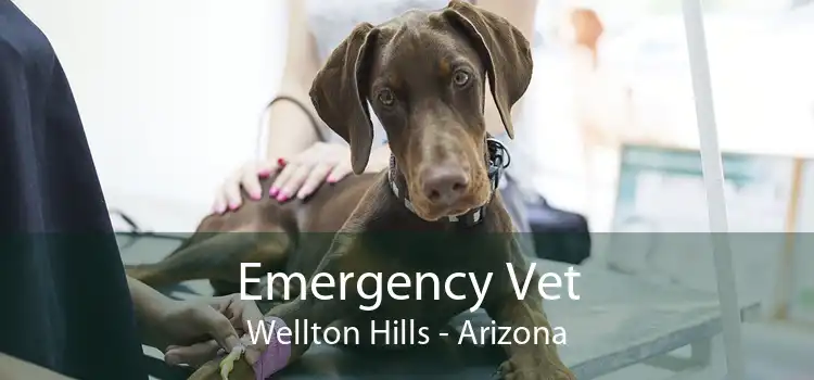 Emergency Vet Wellton Hills - Arizona