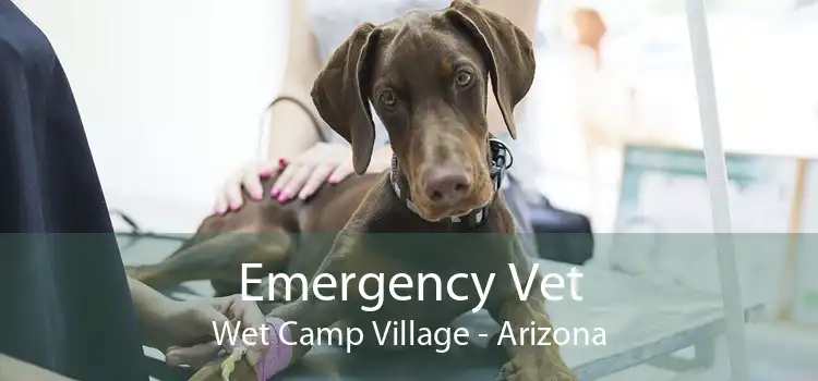 Emergency Vet Wet Camp Village - Arizona