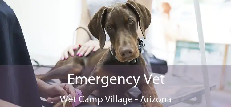 Emergency Vet Wet Camp Village - Arizona