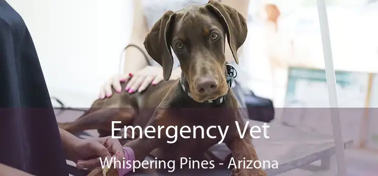 Emergency Vet Whispering Pines - Arizona