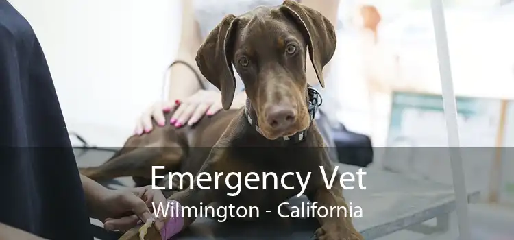 Emergency Vet Wilmington - California