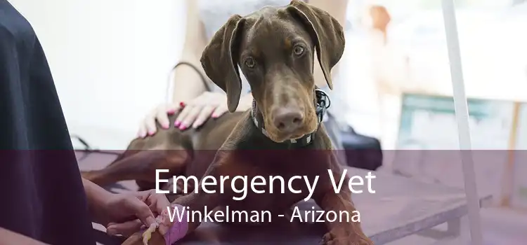 Emergency Vet Winkelman - Arizona