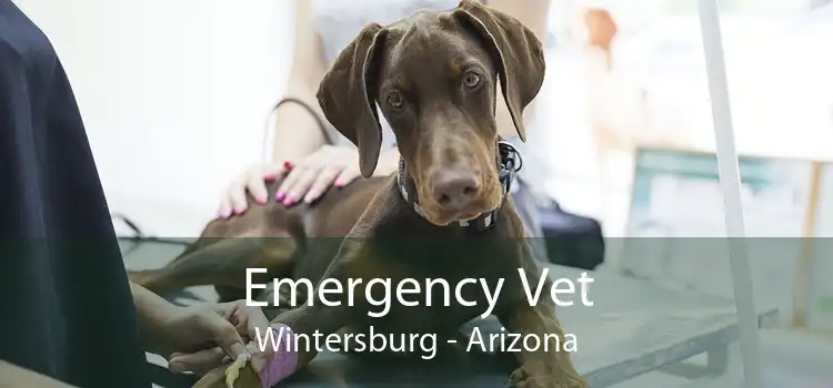 Emergency Vet Wintersburg - Arizona