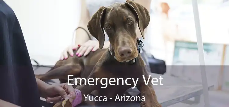 Emergency Vet Yucca - Arizona