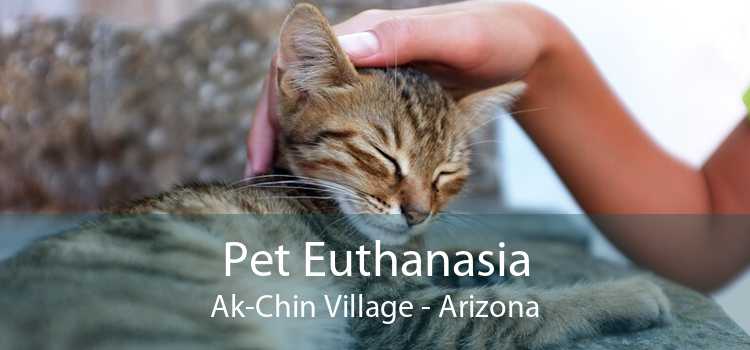 Pet Euthanasia Ak-Chin Village - Arizona