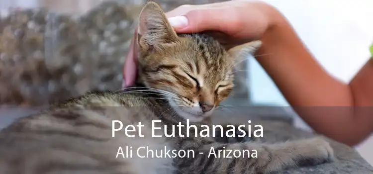 Pet Euthanasia Ali Chukson - Arizona