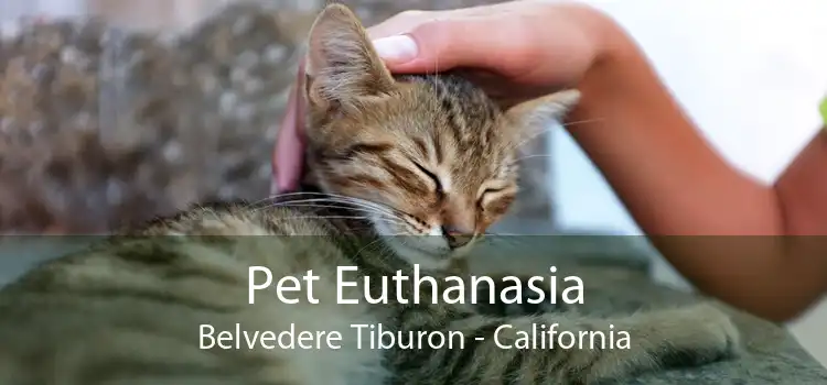 Pet Euthanasia Belvedere Tiburon - California