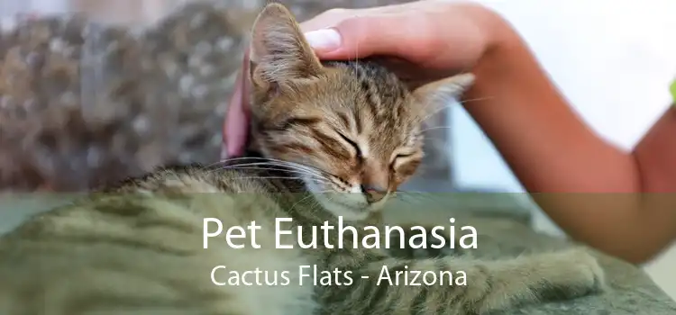 Pet Euthanasia Cactus Flats - Arizona